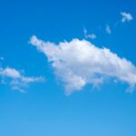 Imagen relacionada con Bluesky lanza una nueva versión de la aplicación para Android con función de traducción de idiomas