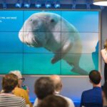 Imagen relacionada con Cómo la inteligencia artificial de Google está revolucionando la conservación marina