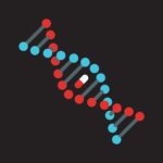 Imagen relacionada con 23andMe revela filtración de datos de 6,9 millones de usuarios