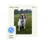 Imagen relacionada con Google inicia la implementación de Quick Share en dispositivos Pixel y no Samsung