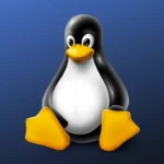Imagen relacionada con IA en Linux: Conoce las distros que están liderando el camino