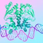 Imagen relacionada con Google DeepMind libera AlphaFold 3 para impulsar la ciencia y nuevos medicamentos