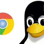 Imagen relacionada con Linux y ChromeOS: comprenda las diferencias y similitudes