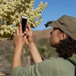 Imagen relacionada con La comunidad de iNaturalist cuestiona la asociación con Google en un proyecto de IA